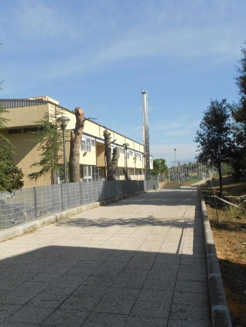 1789398761951460e497-foto-dove-si-svolgeranno-giochi-scuola-primaria-e-secondaria-Bonorva