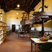 1789559699e8d9f4d2f7-foto-dove-si-svolgeranno-giochi-360083228_684720847016716_3252689676856680057_n