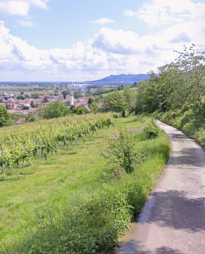 1790020706f31803cee0-foto-dove-si-svolgeranno-giochi-foto-location-giochi-della-gentilezza